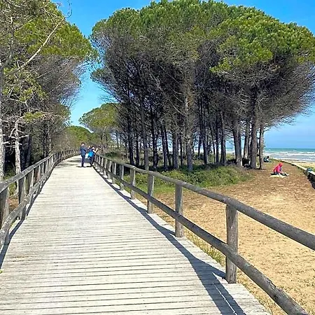 Apartment Comfy One-bedroom With Balcony And Lift Bibione