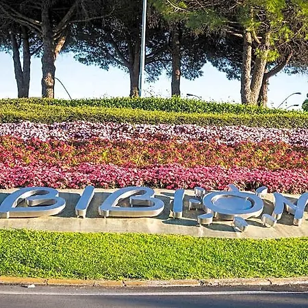 Apartment Comfy One-bedroom With Balcony And Lift Bibione