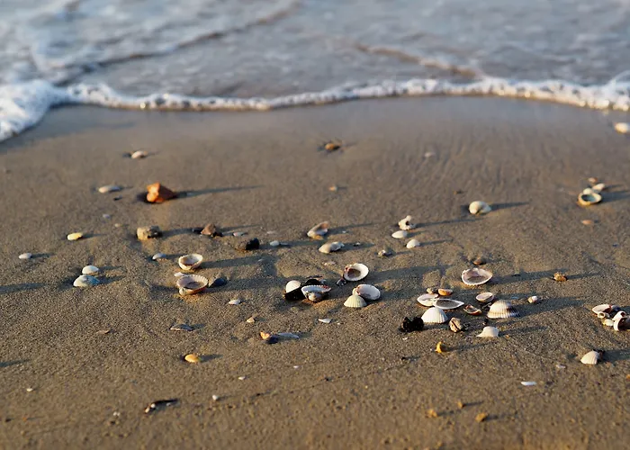 Appartamento Comfy One-bedroom With Balcony And Lift